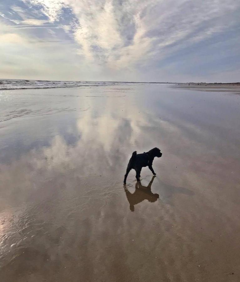 Bridlington'S Bolt Hole Chalet Zewnętrze zdjęcie